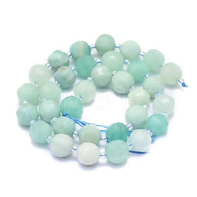Natural Amazonite Beads Strands G-K306-A20-10mm-1
