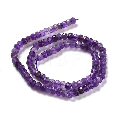 Natural Amethyst Beads Strands G-K312-14B-1