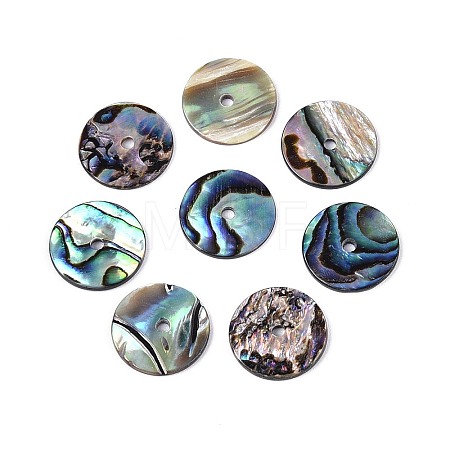 Natural Paua Shell Beads SSHEL-N040-20A-1