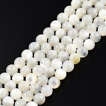 Natural White Shell Bead Strands X-SSHEL-N003-144D-01-1