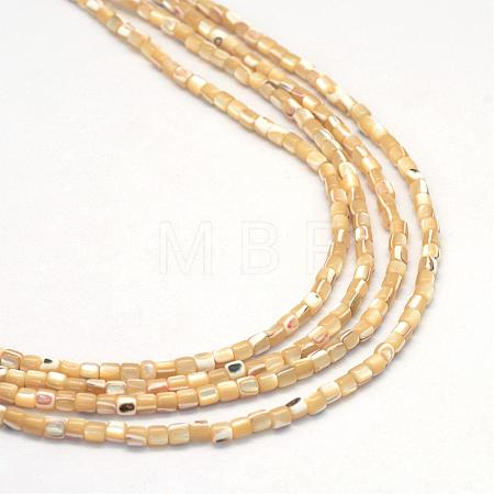 Natural Trochid Shell/Trochus Shell Bead Strands SSHEL-R037-23-1