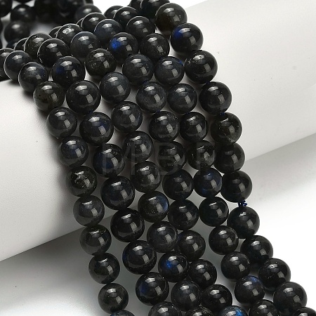 Natural Black Labradorite Beads Strands G-L642-B15-8mm-1
