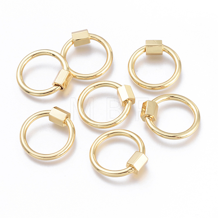 Brass Screw Carabiner Lock Charms KK-I673-09G-1