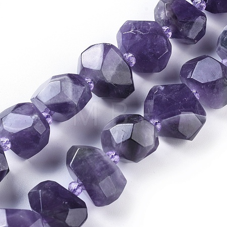 Natural Amethyst Beads Strands G-F653-10-1
