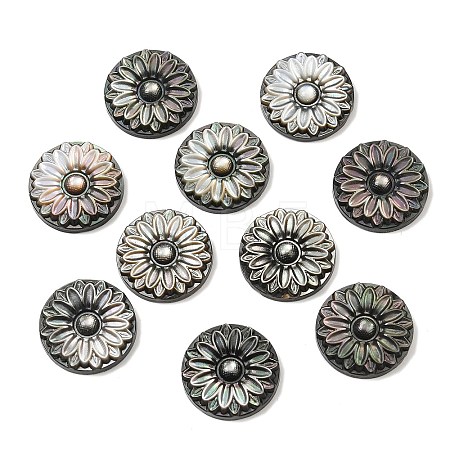 Natural Black Lip Shell Carved Cabochons SSHEL-B006-01B-B-1