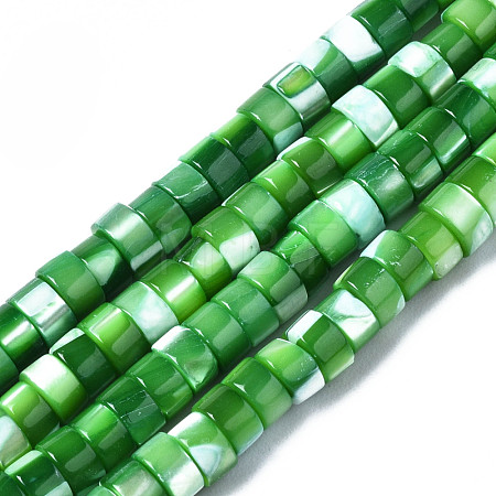 Natural Trochus Shell Beads Strands SHEL-S278-027C-1