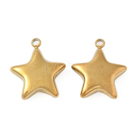 304 Stainless Steel Pendants STAS-S186-01B-G-1