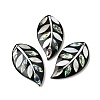 Natural Freshwater Shell & Paua Shell & White Shell Big Pendants SHEL-C009-03-1