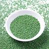 MIYUKI Delica Beads SEED-MY11-DB0163-2