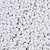 Baking Paint Glass Seed Beads SEED-T006-03A-2