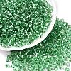 6/0 Baking Paint Transparent Fringe Glass Seed Beads X1-SEED-N006-06K-1