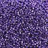 MIYUKI Delica Beads X-SEED-J020-DB2510-2