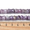 Natural Lepidolite/Purple Mica Stone Beads Strands G-M445-B02-01-5