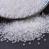 MIYUKI Delica Beads SEED-MY11-DB0141-1