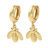 Rack Plating Brass Hoop Earrings EJEW-B062-39G-1