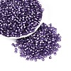 Silver Lined Glass Seed Beads SEED-T007-18A-09-1
