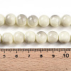Baking Paint Glass Beads Strands DGLA-N013-10mm-02-4