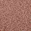 TOHO Round Seed Beads SEED-JPTR08-0631-2