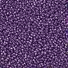 TOHO Round Seed Beads SEED-TR15-0461-2