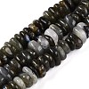 Natural Labradorite Beads Strands G-T141-09-1