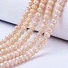 Electroplate Glass Beads Strands LS-EGLA-A034-P10mm-B02-1
