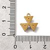 304 Stainless Steel Pendants STAS-Z160-02G-02A-3