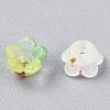 Frosted Transparent Acrylic Beads OACR-N137-72H-3