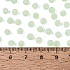 FGB Frosted Transparent Glass Seed Beads SEED-N013-04A-08-4
