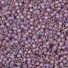 TOHO Round Seed Beads X-SEED-TR08-0166F-2