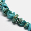Chips Synthetic Turquoise Beads Strands LS-G-N0134-08A-2