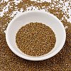 MIYUKI Delica Beads SEED-MY11-DB2273-2