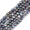 Natural Cultured Freshwater Pearl Beads Strands PEAR-P064-19D-05F-2