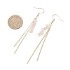 Natural Mixed Stone Chip Dangle Earrings EJEW-JE06712-6