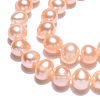 Natural Cultured Freshwater Pearl Beads Strands PEAR-N013-05J-5