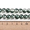 Baking Paint Transparent Glass Beads Strands DGLA-N011-10mm-07-4