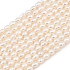 Natural Cultured Freshwater Pearl Beads Strands PEAR-F020-15-2