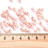 Baking Paint Glass Seed Beads SEED-A032-02P-4