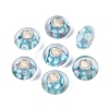 Handmade Lampwork & Brass Core European Beads LAMP-N044-10S-01-1
