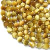 Natural Tiger Eye Beads Strands G-K389-E54-01-3