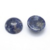 Natural Sodalite Cabochons G-P393-R45-14.5mm-2