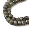 Natural Labradorite Beads Strands G-F797-A09-01-4