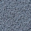 MIYUKI Round Rocailles Beads X-SEED-G007-RR0489-3