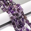 Natural Amethyst Beads Strands G-G146-A09-01-2