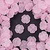 Frosted Transparent Acrylic Beads X1-OACR-P029-19B-05-1