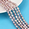 Natural Cultured Freshwater Pearl Beads Strands PEAR-P064-20H-03E-1