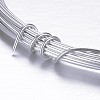 Round Aluminum Craft Wire AW-D009-0.8mm-10m-21-2