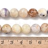 Natural Purple Opal Beads Strands G-L642-B21-10mm-5