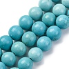 Dyed Natural Magnesite Beads Strands G-P558-A01-01B-1