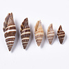 Natural Spiral Shell Beads SSHEL-S258-91-2