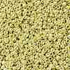 TOHO 11/0 Round Beads SEED-XTR11-0559-2